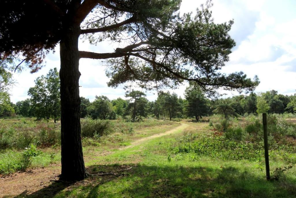 Sfeervol Op De Veluwe 2-6 Personen Putten